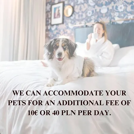 Apartament Lumina Lovely 2-room With Balcony