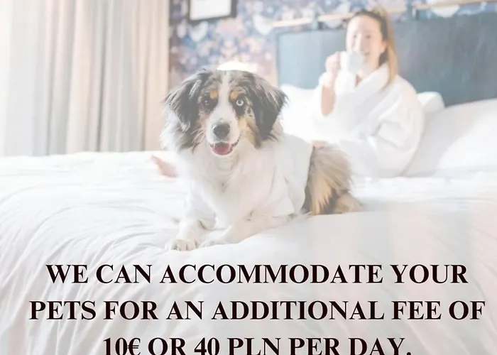 Lejlighed Lumina Lovely 2-room With Balcony